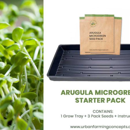 Arugula Microgreens Starter Kit (Single Tray + 3 Seed Packs)