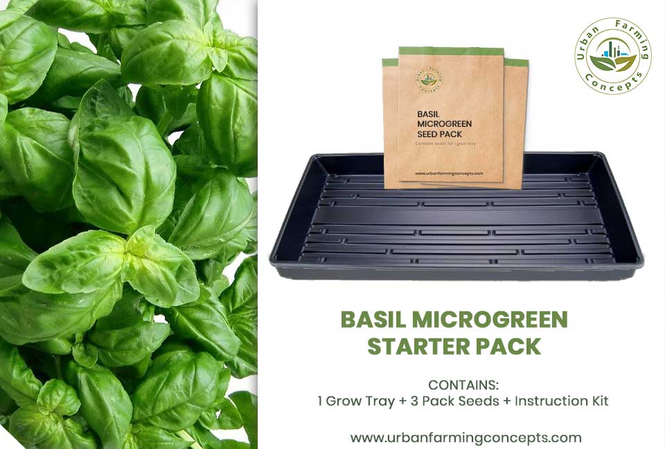 Basil Microgreens Starter Kit (Single Tray + 3 Seed Packs)
