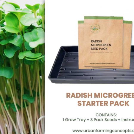 Radish Microgreens Starter Kit (Single Tray + 3 Seed Packs)