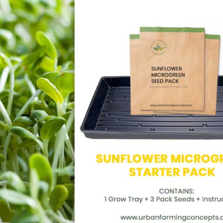 Sunflower Microgreens Starter Kit (Single Tray + 3 Seed Packs)