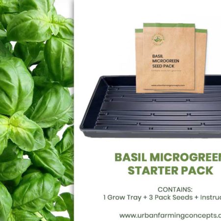 Basil Microgreens Starter Kit (Single Tray + 3 Seed Packs)
