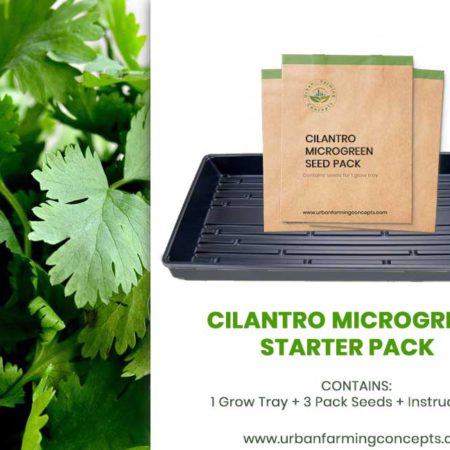 Cilantro Microgreens Starter Kit (Single Tray + 3 Seed Packs)