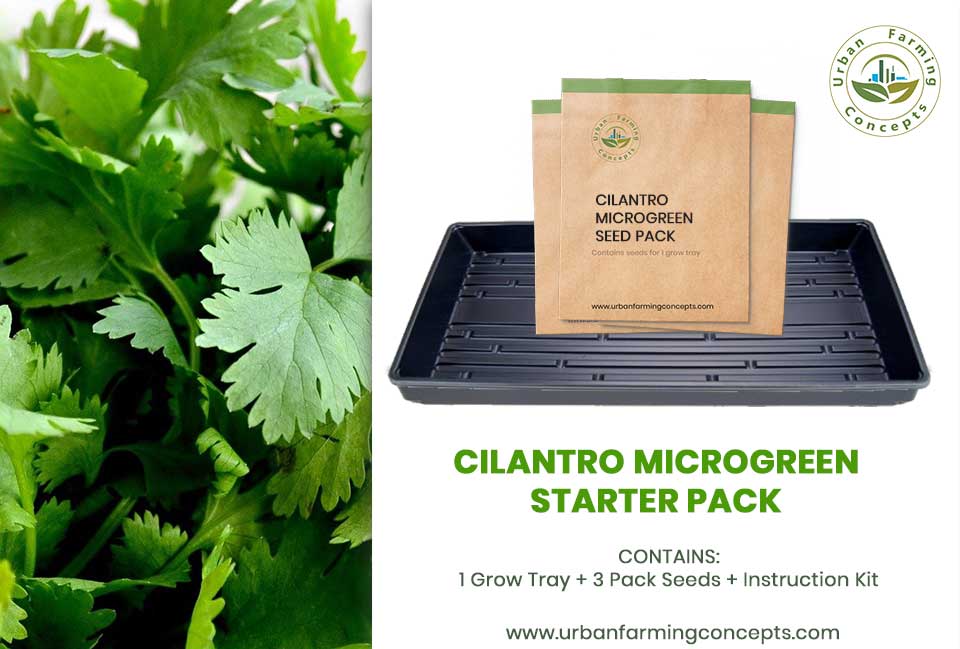 Cilantro Microgreens Starter Kit (Single Tray + 3 Seed Packs)