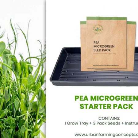 Pea Microgreens Starter Kit (Single Tray + 3 Seed Packs)